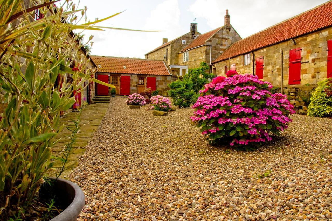 Spangle Cottage, Borrowby Farm Cottages Staithes Ngoại thất bức ảnh