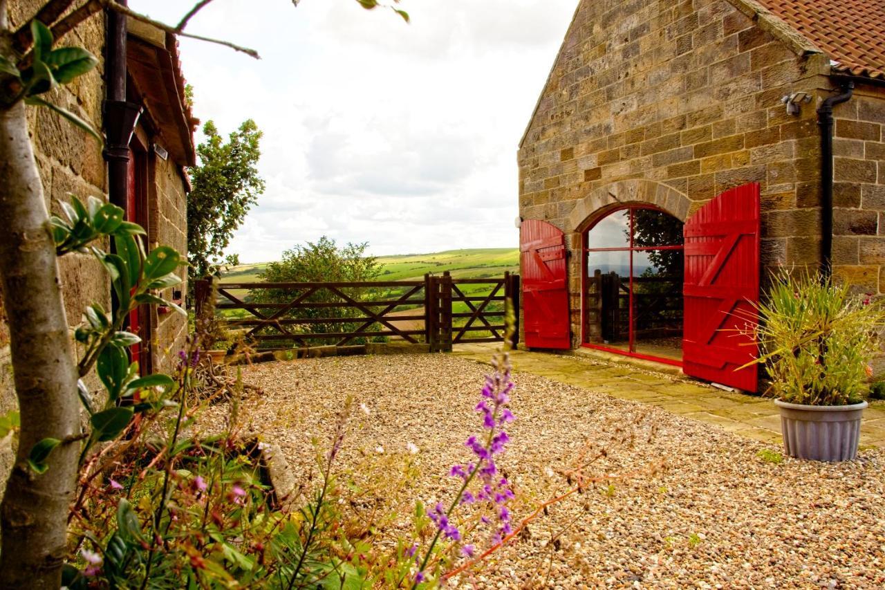 Spangle Cottage, Borrowby Farm Cottages Staithes Ngoại thất bức ảnh