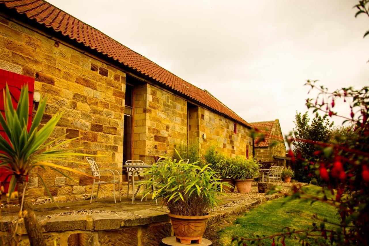 Spangle Cottage, Borrowby Farm Cottages Staithes Ngoại thất bức ảnh