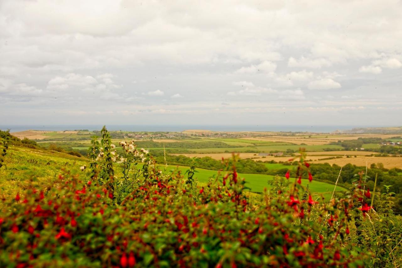 Spangle Cottage, Borrowby Farm Cottages Staithes Ngoại thất bức ảnh